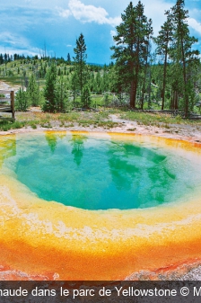 Source chaude dans le parc de Yellowstone M. Cociglio