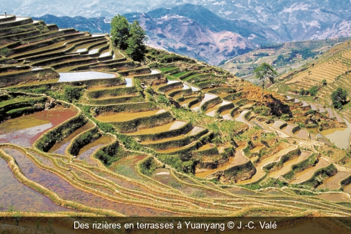 Des rizières en terrasses à Yuanyang J.-C. Valé