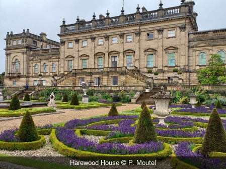 Harewood House P. Moutel