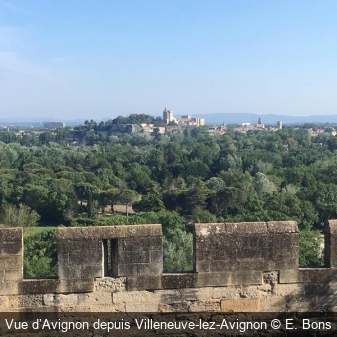 Vue d’Avignon depuis Villeneuve-lez-Avignon E. Bons