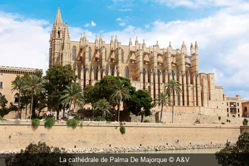 La cathédrale de Palma De Majorque A&V