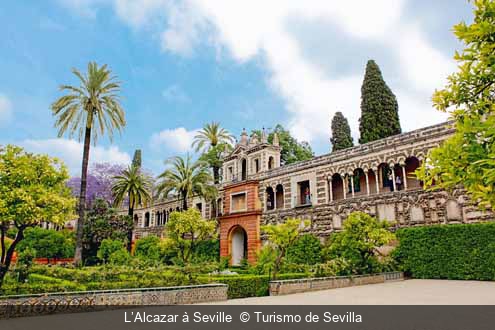 L’Alcazar à Seville  Turismo de Sevilla  