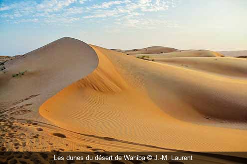 Les dunes du désert de Wahiba J.-M. Laurent