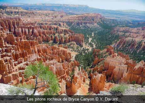 Les pitons rocheux de Bryce Canyon Y. Davant