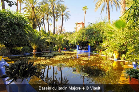 Bassin du jardin Majorelle Viault