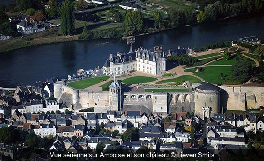 Vue aérienne sur Amboise et son château Lieven Smits
