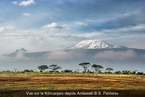 Vue sur le Kilimanjaro depuis Amboseli S. Pesterev