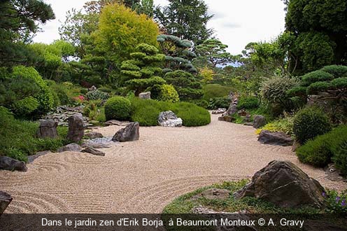 Dans le jardin zen d'Erik Borja  à Beaumont Monteux A. Gravy