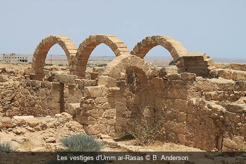 Les vestiges d'Umm ar-Rasas B. Anderson