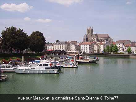 Vue sur Meaux et la cathédrale Saint-Étienne Toine77