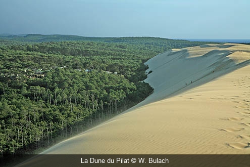 La dune du Pilat W. Bulach
