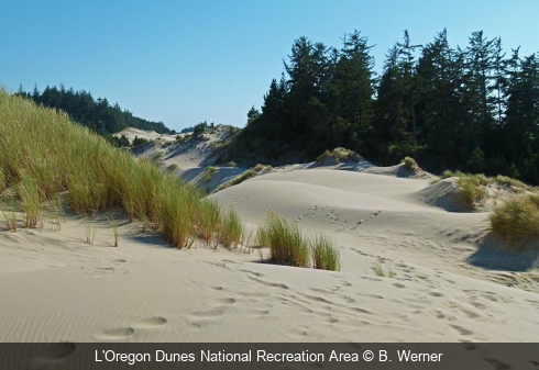 L'Oregon Dunes National Recreation Area B. Werner