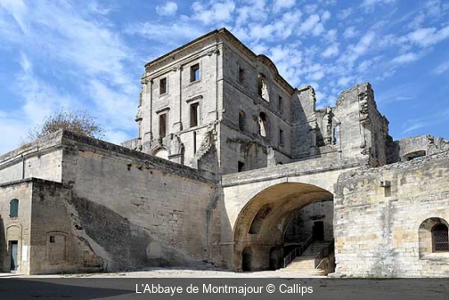 L'Abbaye de Montmajour Callips
