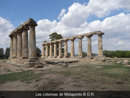 Les colonnes de Metaponto D.R.