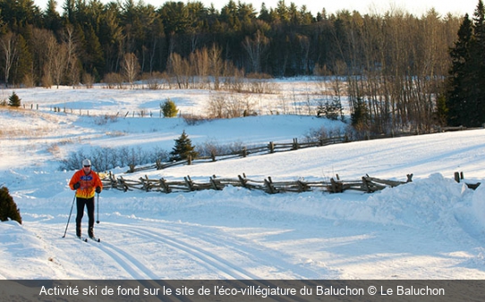 Activité ski de fond sur le site de l'éco-villégiature du Baluchon Le Baluchon