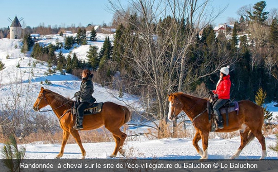 Randonnée  à cheval sur le site de l'éco-villégiature du Baluchon Le Baluchon