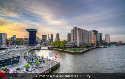 Le front de mer à Rotterdam D.R. Pixy