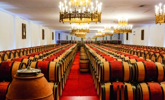 Escapade en France : Le vignoble du Bordelais