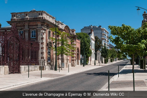 L'avenue de Champagne à Epernay M. Osmenda Wiki CC