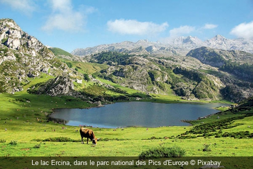 Le lac Ercina, dans le parc national des Pics d'Europe Pixabay