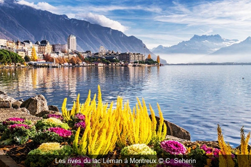 Les rives du lac Léman à Montreux C. Seherin