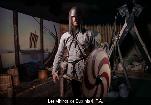 Les vikings de Dublinia T.A.