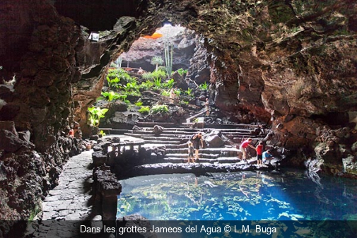 Dans les grottes Jameos del Agua L.M. Buga