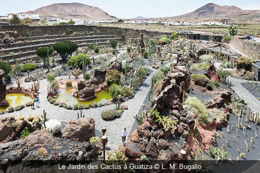 Le Jardin des Cactus à Guatiza L. M. Bugallo