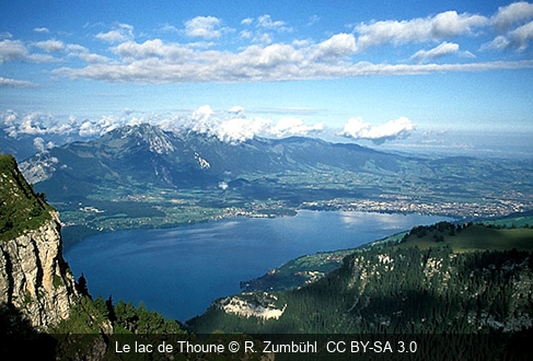 Le lac de Thoune R. Zumbühl  CC BY-SA 3.0