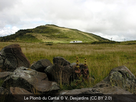 Le Plomb du Cantal V. Desjardins (CC BY 2.0)