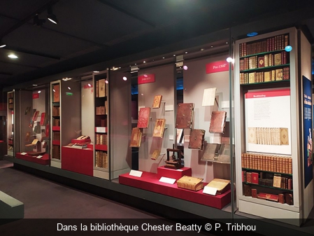 Dans la bibliothèque Chester Beatty P. Tribhou