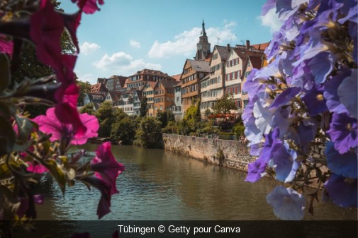 Tübingen Getty pour Canva