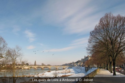 Les quais de Loire à Amboise D. Jolivet