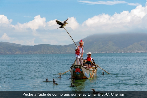 Pêche à l'aide de cormorans sur le lac Erhai J.-C. Che´ron
