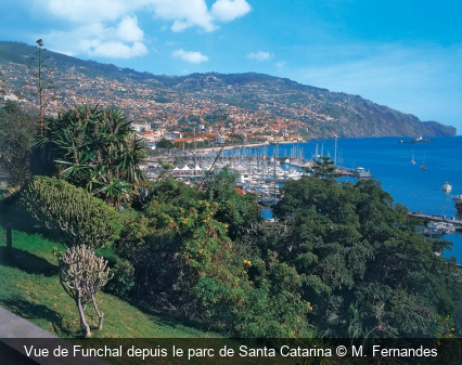 Vue de Funchal depuis le parc de Santa Catarina M. Fernandes