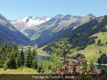 Paysage du Tyrol C. Maurel