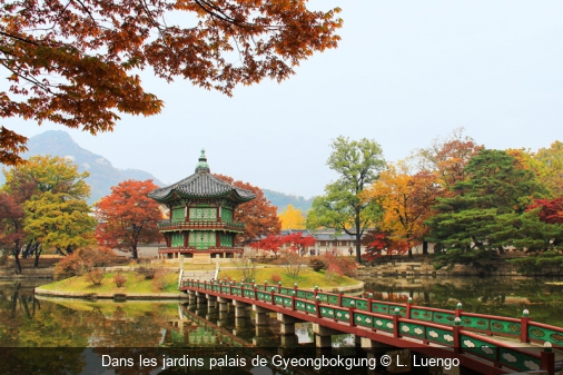 Dans les jardins palais de Gyeongbokgung L. Luengo