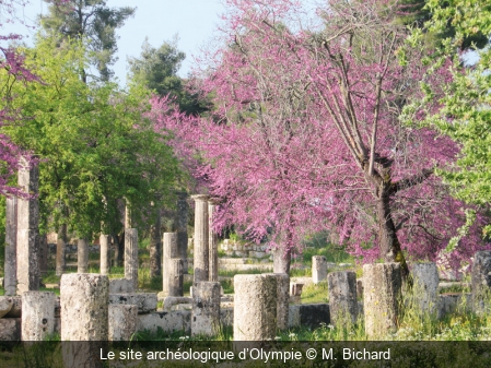 Le site archéologique d’Olympie M. Bichard