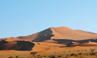 Circuit en Namibie : Sables du Namib
