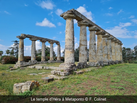 Le temple d’Héra à Metaponto F. Colinet