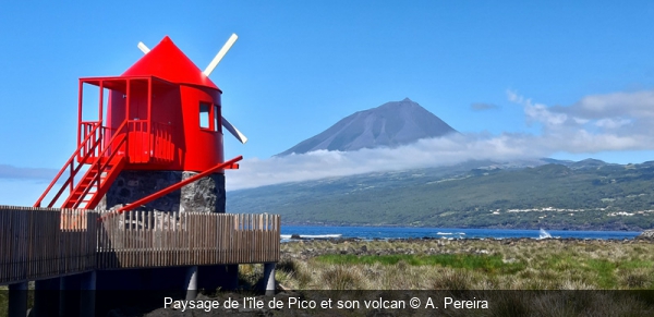 Paysage de l'île de Pico et son volcan A. Pereira