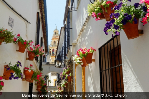Dans les ruelles de Séville, vue sur la Giralda J.-C. Chéron