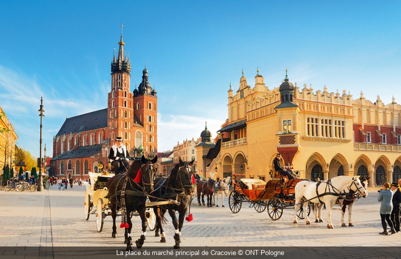 Circuit Classique Pologne Circuit en Pologne : De la Baltique aux Tatras -  Voyage culturel avec Arts et Vie