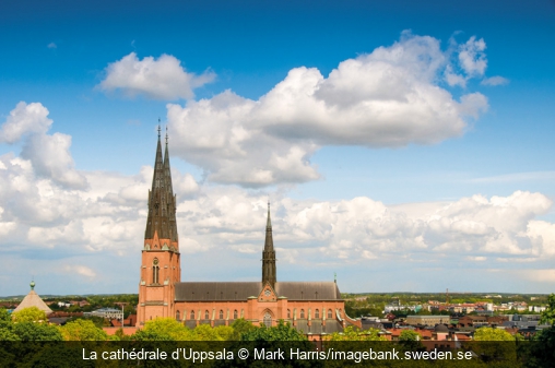 La cathédrale d’Uppsala Mark Harris/imagebank.sweden.se