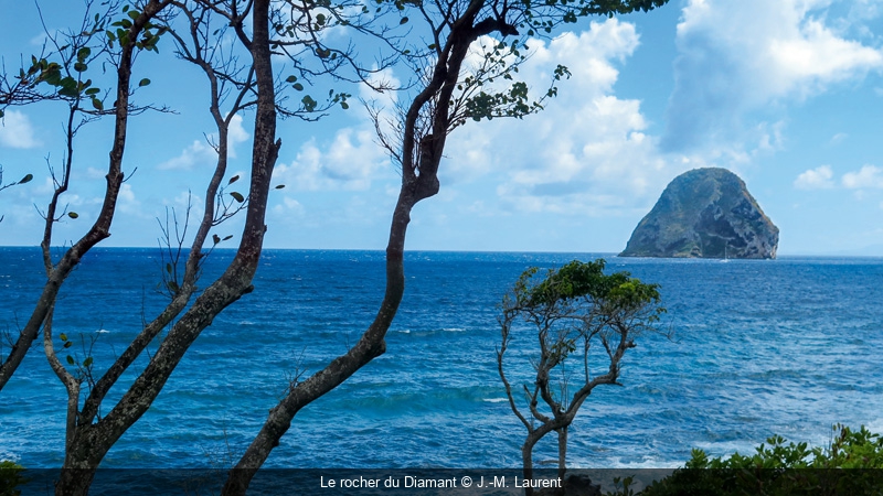 Nature et Découvertes Martinique