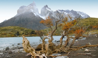 Circuit en Argentine : Terre de Feu et Patagonie