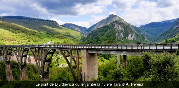 Le pont de Djurdjevica qui enjambe la rivière Tara A. Pereira