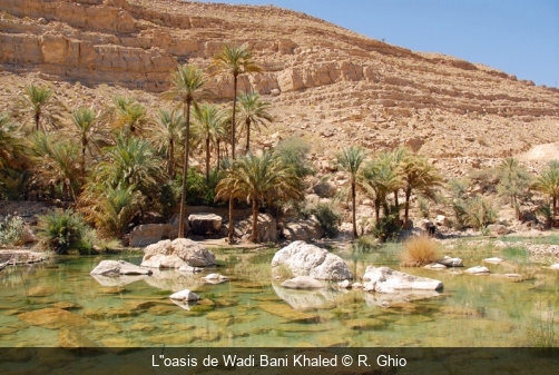 L''oasis de Wadi Bani Khaled R. Ghio