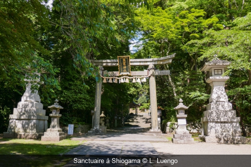 Sanctuaire à Shiogama L. Luengo