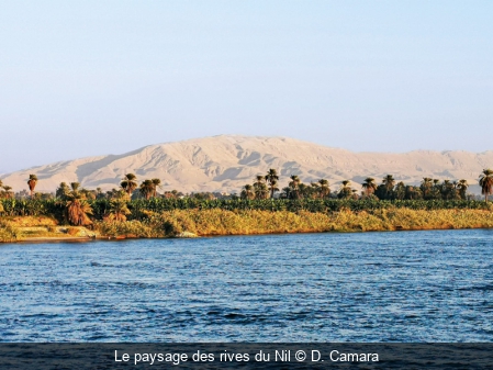 Le paysage des rives du Nil D. Camara